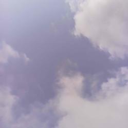 User Profile: iPurple