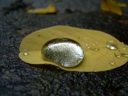 User Profile: silverSound86
