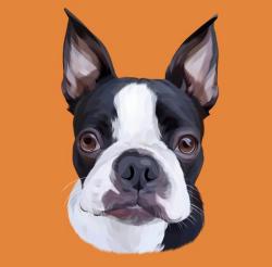 User Profile: twelvetigerlillies