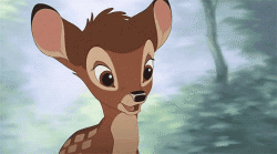 User Profile: ElectricalDeer87