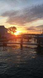 Profile: beautifulOcean