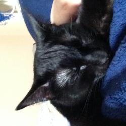 User Profile: compassionateSoul22