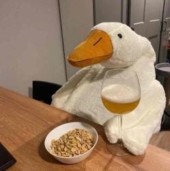 User Profile: greatfulCreature95
