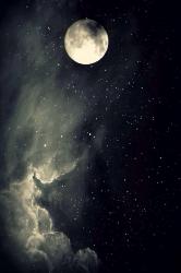 User Profile: AntidoteTowardsTheDark