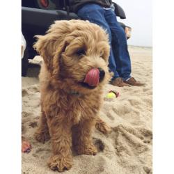 User Profile: KookyKells26