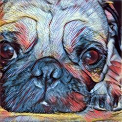 User Profile: RonMaral