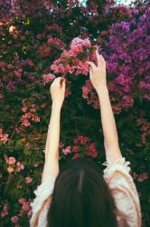 User Profile: Florallyme