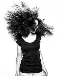 Profile: PRUNE4BEE