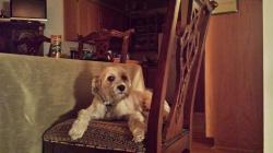 User Profile: unbroken275
