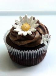 Profile: CourageousCupcake07