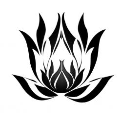 User Profile: EmotiveConnections