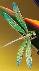 User Profile: Nightg0ddess