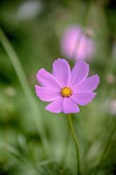 User Profile: daydreamerBeth