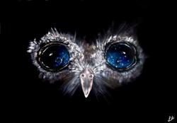 User Profile: starryeyedowl