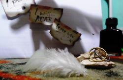 Profile: AngelPearl