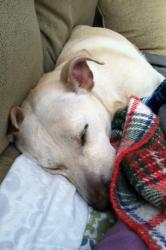 User Profile: olive