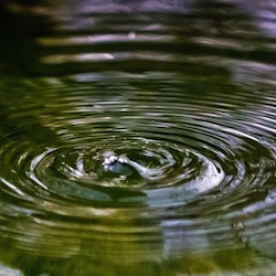 Profile: wonderouspeace
