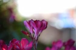 Profile: B3TA