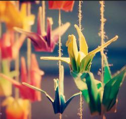 Profile: paperCrane15