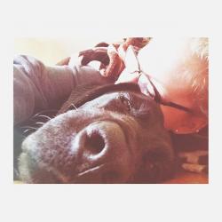 User Profile: Nicxo
