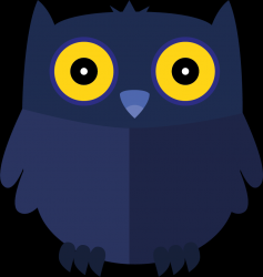User Profile: SilentNightOwl