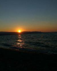 User Profile: aliveInTheOcean