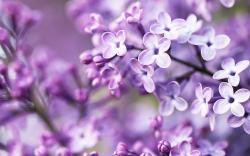 Profile: Lovelydaytoday