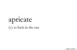 Profile: Apricate