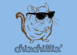 User Profile: Chinchillin