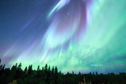 Profile: AuroraMoon