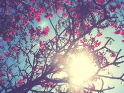 User Profile: usefulSunshine29