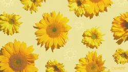 User Profile: Thalia7