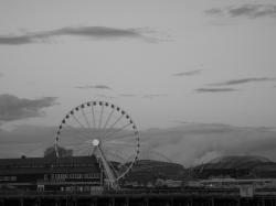 User Profile: MonochromeColors