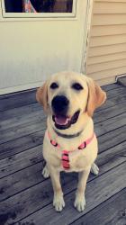 User Profile: Ccali238