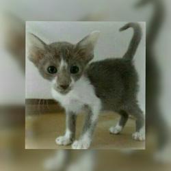 User Profile: Veritina