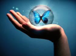 Profile: SocialButterfly31