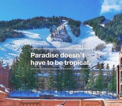 Profile: TranquilMountainBoarder