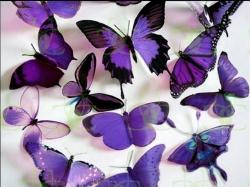 User Profile: EdanaInRecovery