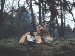 Profile: GrayForest17