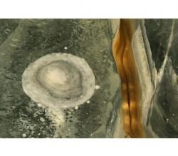 User Profile: 7northernlights