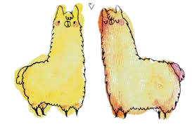 Profile: dkaren00