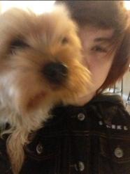 User Profile: Reine