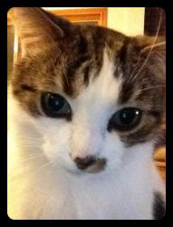 User Profile: Pickle68