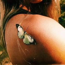 Profile: sofialucas
