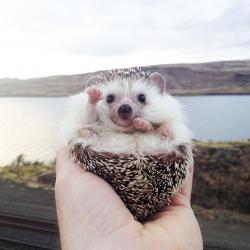 User Profile: LilyElizabeth