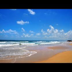 Profile: OceanLove60