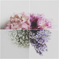 User Profile: sweetlittlesmile