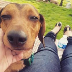 User Profile: Warmisnotblue
