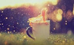 Profile: miraculousPiano89
