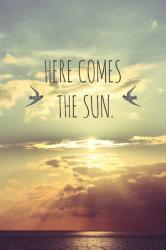 User Profile: HereComesTheSun
